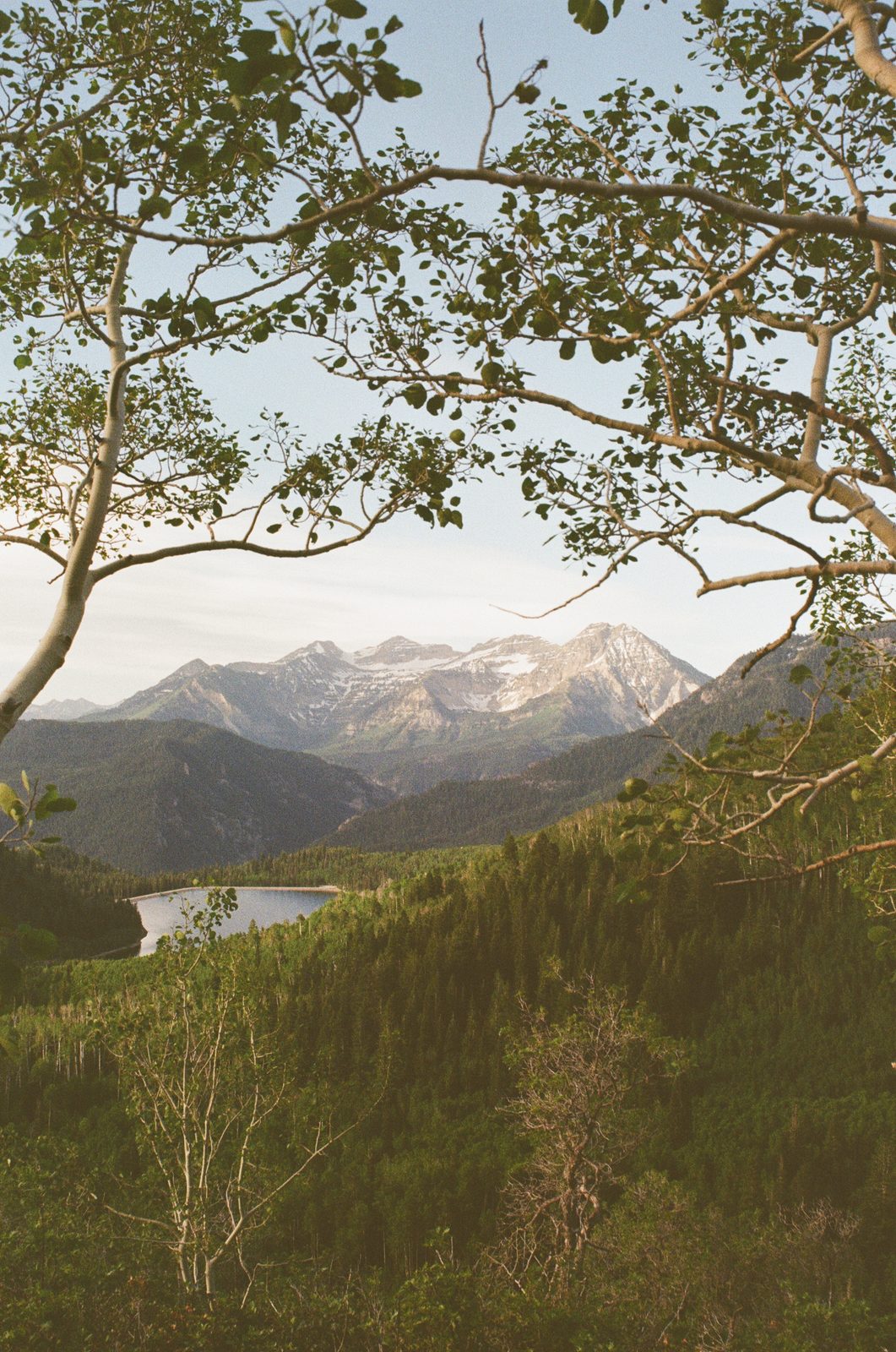 Aspen Valley Overlook